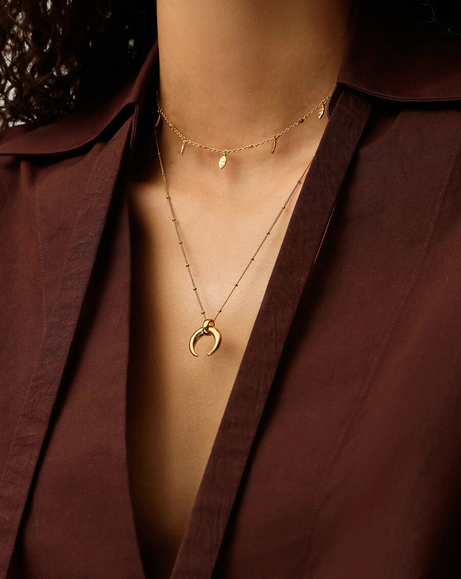 ensemble collier lucy williams corne et ras-de-cou avec pendentif feuille