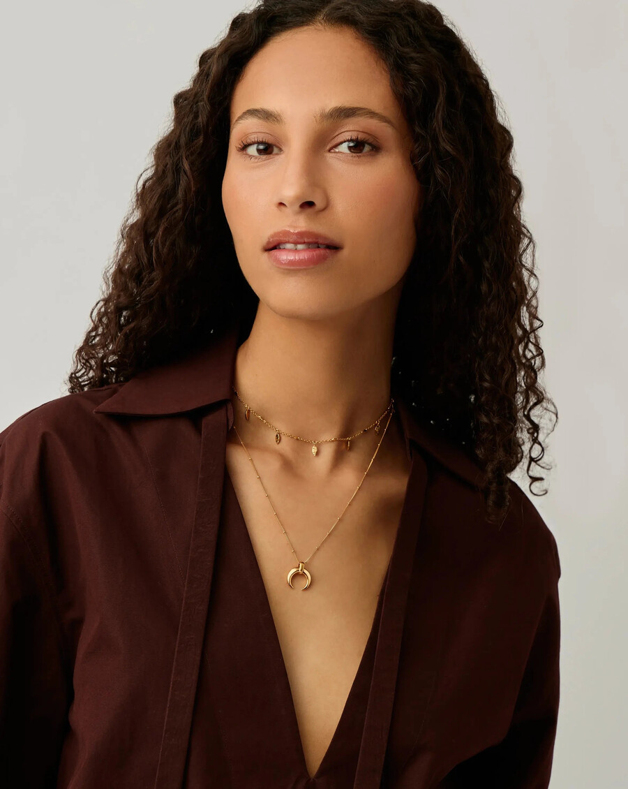 ensemble collier lucy williams corne et ras-de-cou avec pendentif feuille